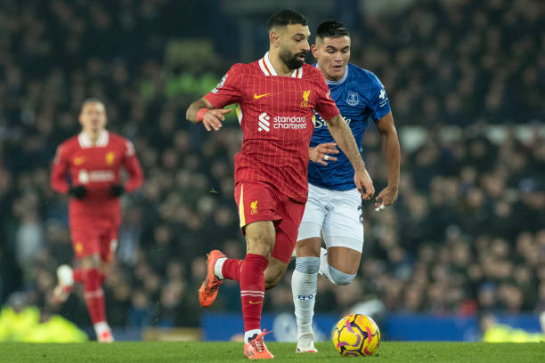 效地貢獻了 效地貢獻了